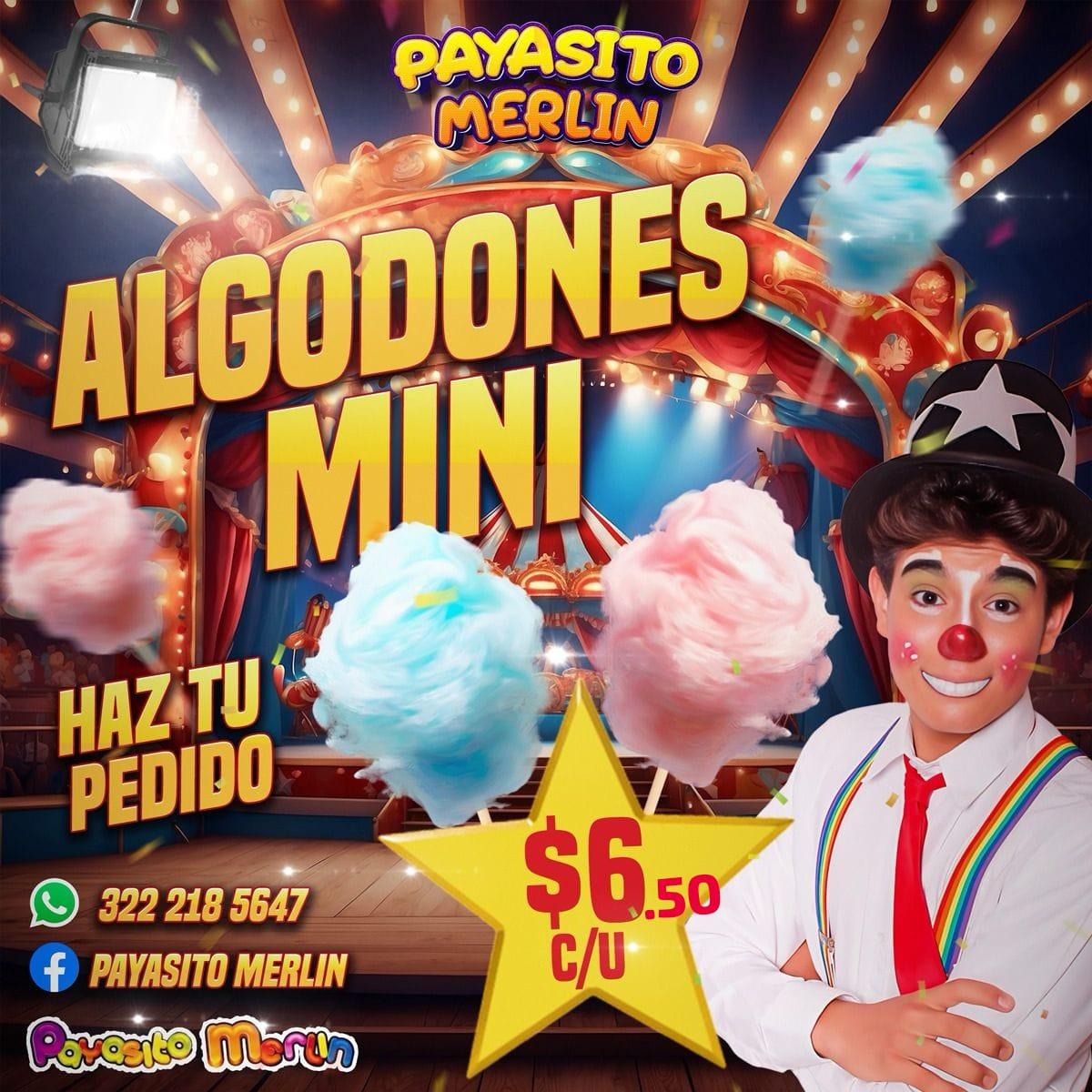 Galería 3 de Payasito Merlin