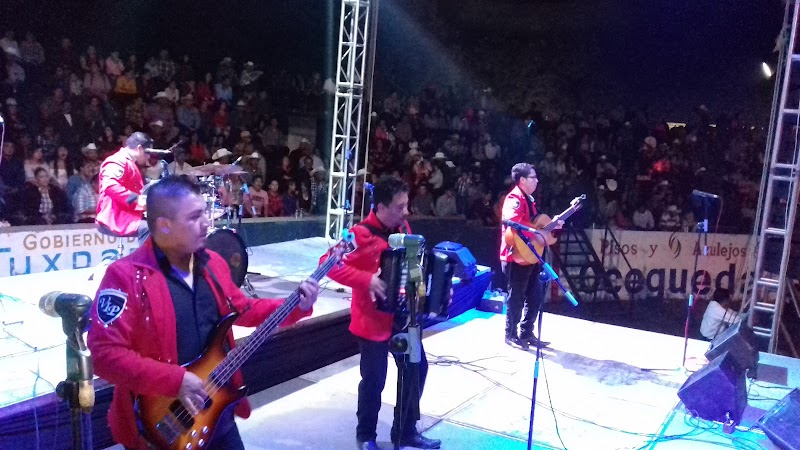 Grupo norteño tepic