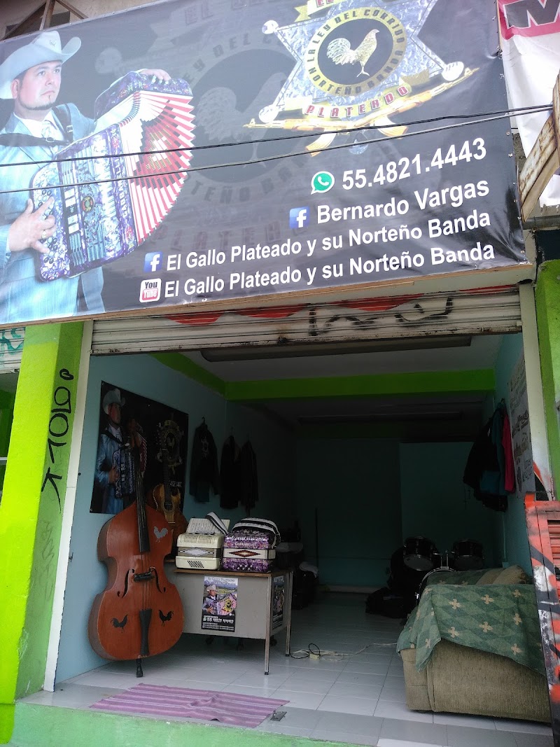Grupos Norteños y Norteño Banda de calidad