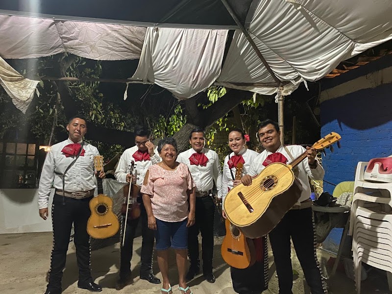 Mariachi Fiesta Jalisciense PV