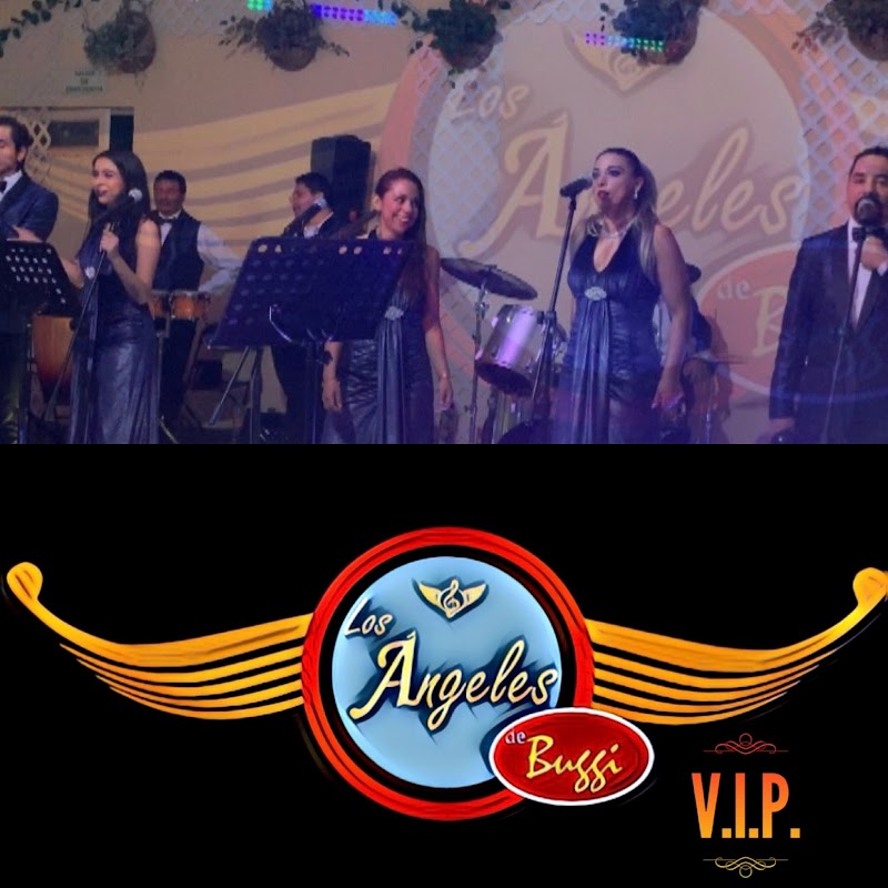 Tecladista Dueto Grupo Musical Versatil Buggisor
